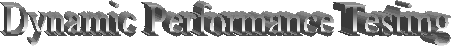 Dynamic Performance Testing
